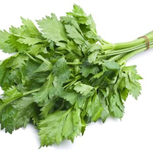 กลิ่นขึ้นฉ่ายผง Celery Flavour Powder