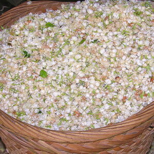 Jasmine Syrup น้ำเชื่อมกลิ่นมะลิ