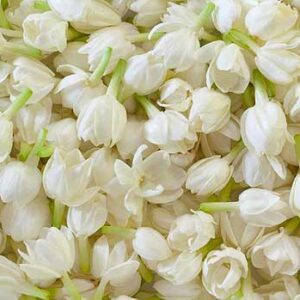 กลิ่นมะลิ Jasmine Flavour