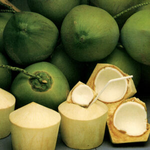 กลิ่นมะพร้าว Coconut Flavour
