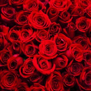 กลิ่นกุหลาบ Rose Flavour