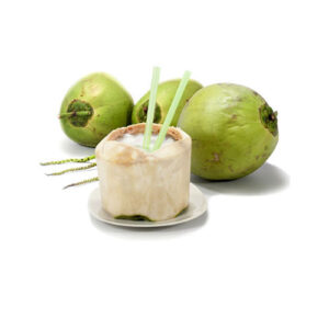 Coconut Syrup น้ำเชื่อมกลิ่นมะพร้าว